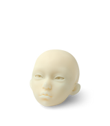 Phrozen High-Resolution  BJD Resin